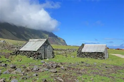 Хижины пастухов на острове Тристан-да-Кунья в Южной Атлантике.