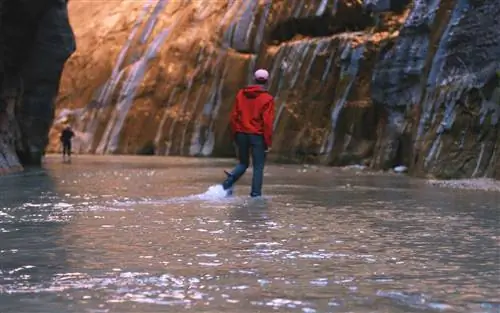 Лучшее место для посещения в 20 национальных парках для новичков по версии 2 братьев, посещающих их всех