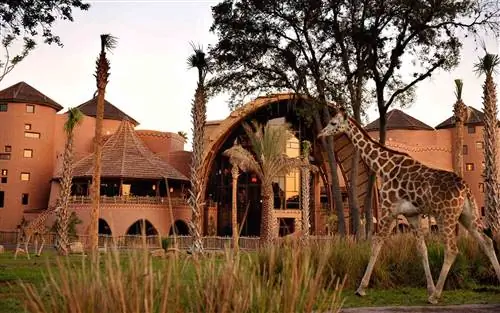 Самые лучшие гостиничные номера в Мире Уолта Диснея