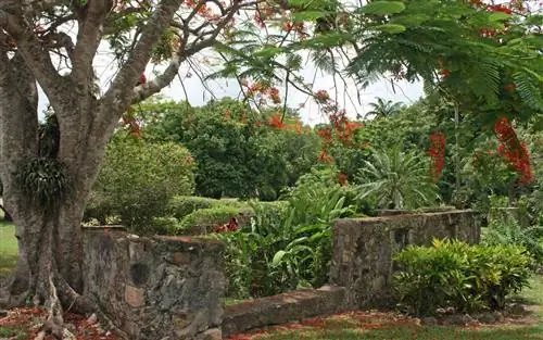 Посещение Виргинских островов США