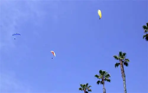 Летний список приключений