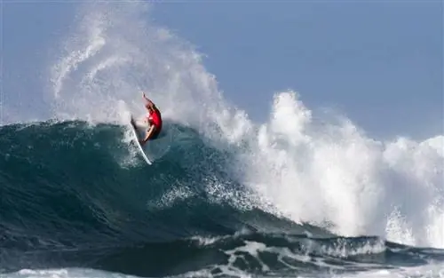 Летний список приключений