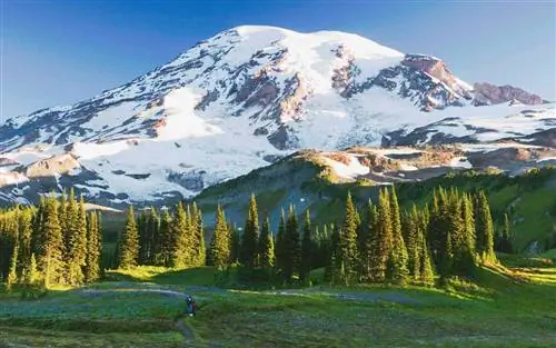 Летний список приключений