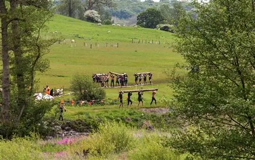 Летний список приключений