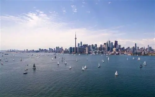 Летний список приключений