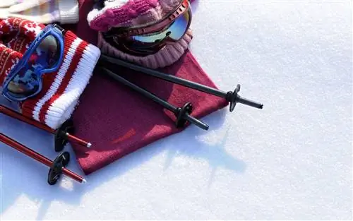 лыжное снаряжение-FAMSKI117-j.webp