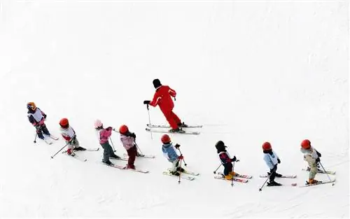 лыжные уроки-FAMSKI117-j.webp