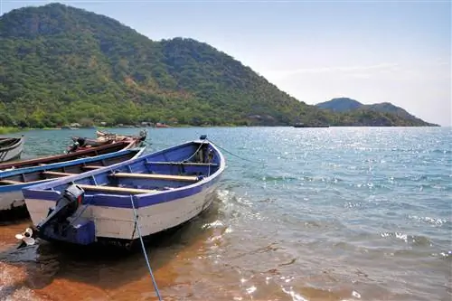 Monkey Bay, Лодки на озере Малави