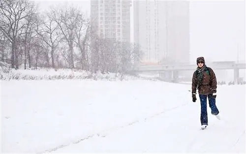 Катки с натуральным льдом по всему миру
