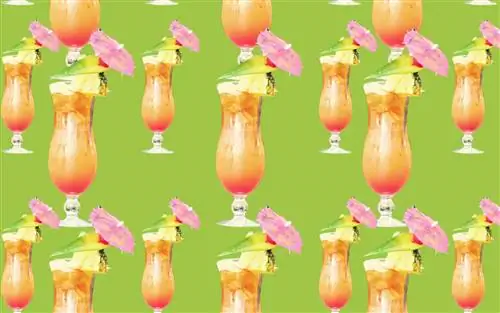 25 коктейлей, смузи и напитков, которые нельзя пропустить в Диснейленде