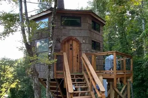 Внешний вид TreehouseTopia, Севьервилль, Теннесси, США