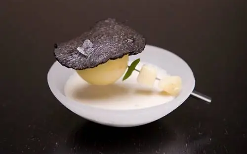 Блюдо ресторана Алинея