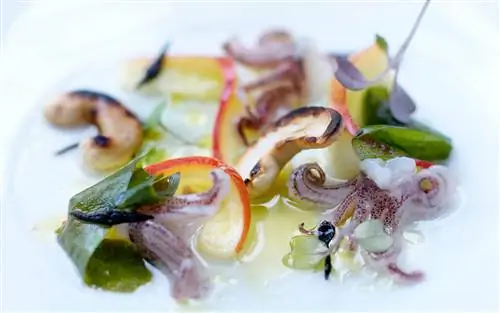 Д. О. М. ресторан