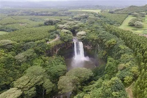 Аэрофотоснимок водопада посреди леса на Кауаи