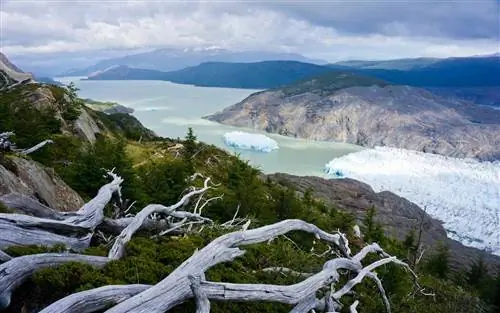 Национальный парк Торрес-дель-Пайне Трек Трек Патагония Чили