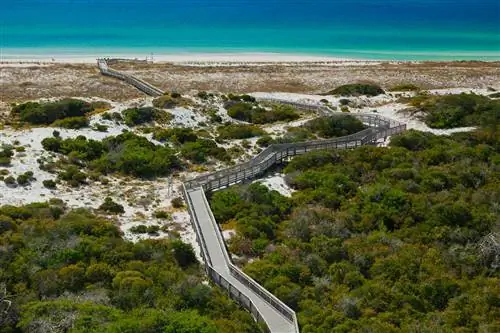 Бордвок, Государственный парк Хендерсон, Дестин, Флорида, США