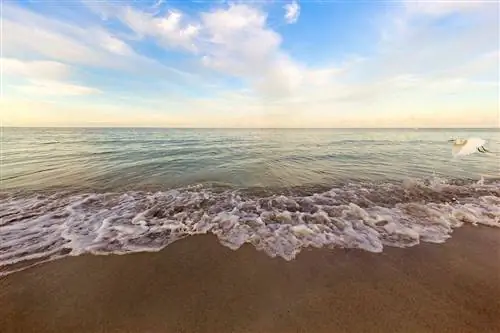 7 великолепных пляжей побережья Мексиканского залива от Техаса до Флориды