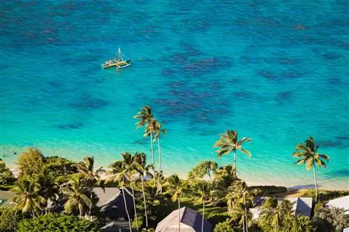 Вид с воздуха на береговую линию пляжа Ланикай с пальмами и лодкой на голубой воде