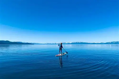 Катание на байдарках спокойным ранним утром на озере Тахо, штат Невада.