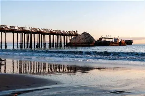 Крупный план SS Palo Alto, старого кораблекрушения времен Второй мировой войны на закате, у побережья Аптоса.