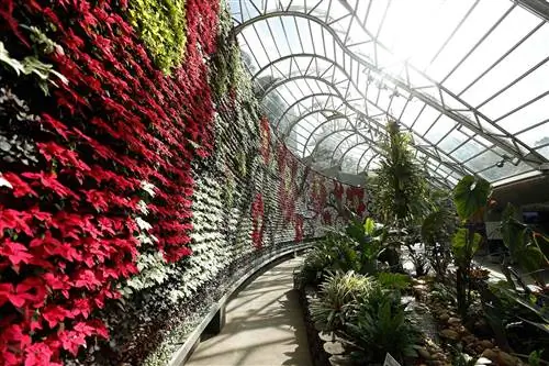 Общий вид InBloom в The Calyx в Королевском ботаническом саду.