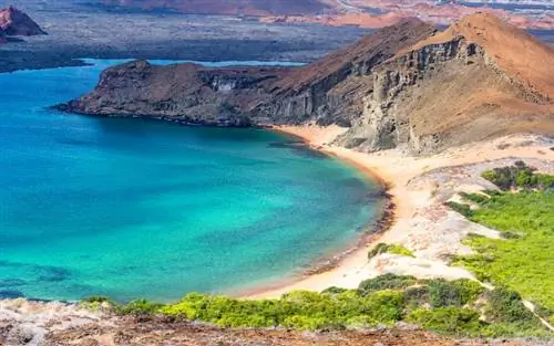 Путешествия на всю жизнь с TripAdvisor