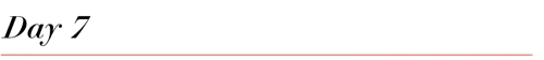 день-7-p.webp