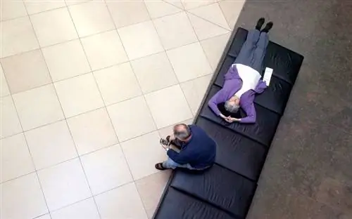 Джетлаг Восток Запад Асимметрия