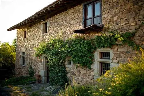 Внешний вид каменного коттеджа с плющом, растущим над дверью в Domaine Des Etangs, замке 13 века на юго-западе Франции