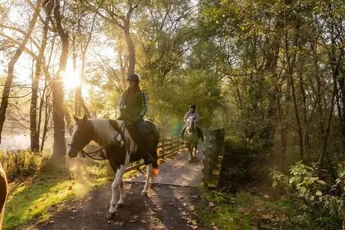 Люди верхом на лошадях на тропе Canal Lands Park Trailhead в Огайо