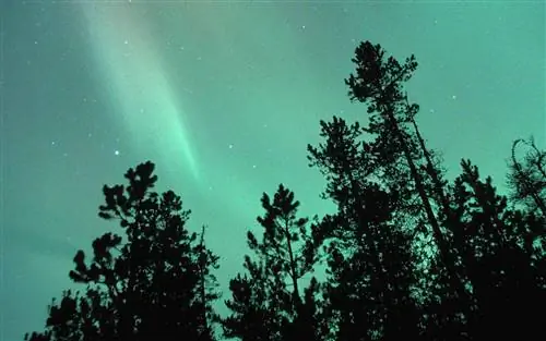 Северное сияние, Национальный парк Джаспер