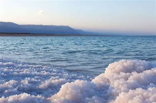 Соль на берегу Мертвого моря в Израиле