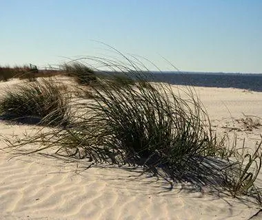 Романтический пляжный отдых: Барьерные острова Джорджии