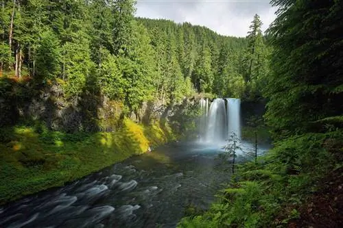 Водопад Куса на перевале Маккензи, штат Орегон.
