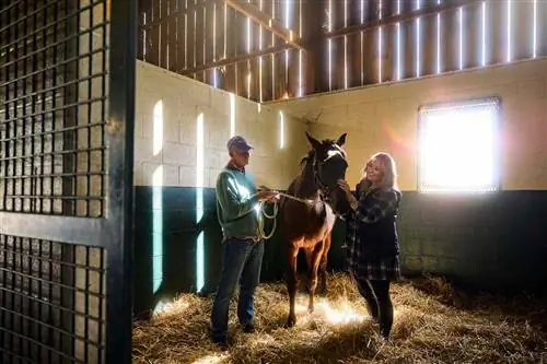 Этот город Кентукки - «мировая столица лошадей» - и лошади скажут вам, почему вы должны его посетить