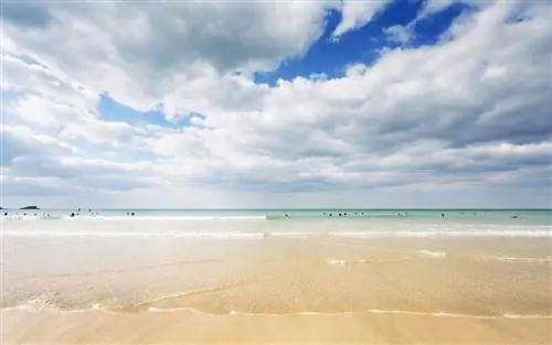 Фистрал Бич