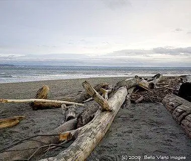 10 лучших пляжей США для обстрела: пляж Пойнт-но-Пойнт Хансвилл, штат Вашингтон