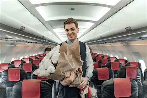 10 самых странных запросов, которые бортпроводники получали в самолетах
