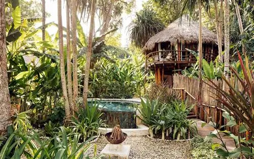 Остров Нихи Сумба, Индонезия