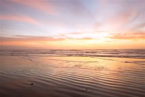 Восход солнца над островом Сент-Хосе, Техас