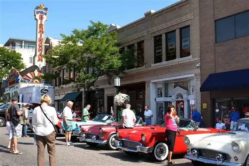 Посетители наслаждаются круизом Woodward Cruise в Бирмингеме, штат Мичиган.