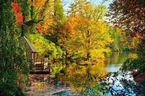 Дом-лодка осенью, Эшвилл, Северная Каролина, США