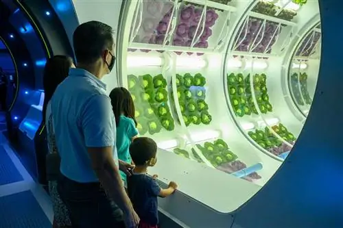 Подробности в ресторане Space 220