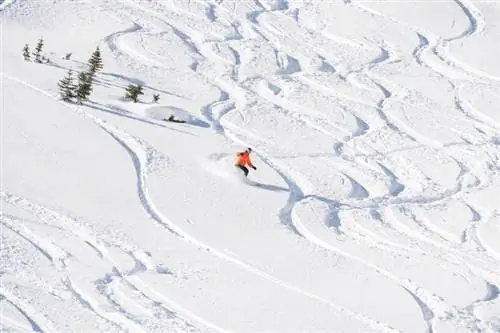 Человек в оранжевой куртке катается на лыжах в Уинтер-парке, Колорадо.