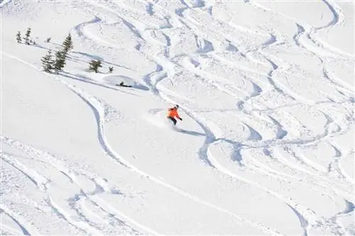 На этой горе в Колорадо есть специальный лыжный поезд и ночной тюбинг