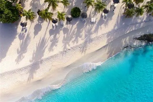 Вид с воздуха на пляж с пальмами, шезлонгами и кристально голубой водой в спа-курорте Palm Island Resort and Spa в Гренадинах