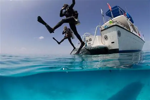 Гигантский вход в спокойный океан на Багамах