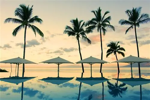 Бассейн в отеле Wailea Beach Resort
