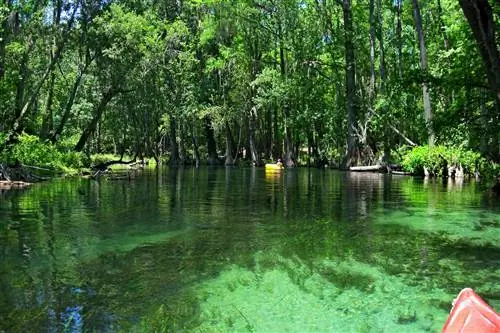 Лейк-Сити, Флорида