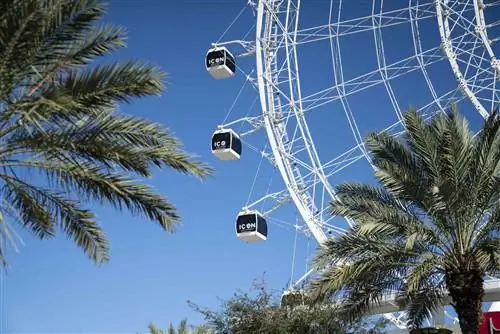 Колесо обозрения в ICON Park